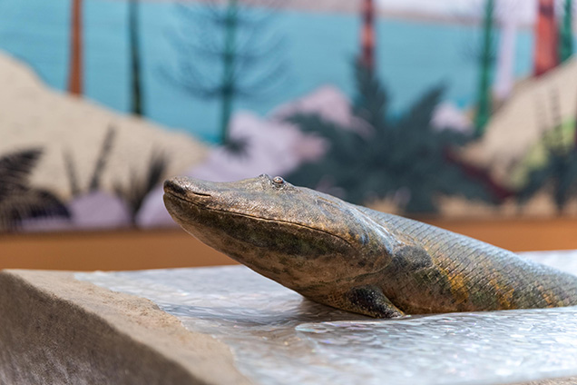 A statue of tiktaalik emerging from the water.